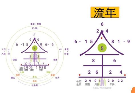 81靈動數怎麼算|生命靈數怎麼算？最完整的數字解析與計算方法，重點。